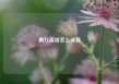两万英语怎么读音