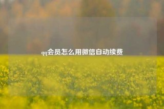 qq会员怎么用微信自动续费