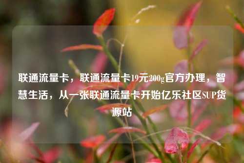 联通流量卡，联通流量卡19元200g官方办理，智慧生活，从一张联通流量卡开始亿乐社区SUP货源站  第1张