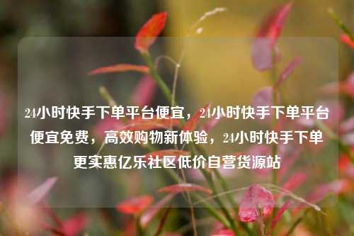 24小时快手下单平台便宜	，24小时快手下单平台便宜免费，高效购物新体验，24小时快手下单更实惠亿乐社区低价自营货源站  第1张