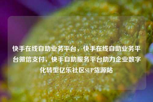 快手在线自助业务平台，快手在线自助业务平台微信支付，快手自助服务平台助力企业数字化转型亿乐社区SUP货源站  第1张