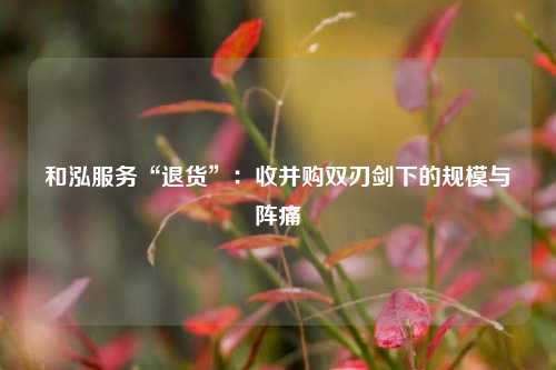 和泓服务“退货”：收并购双刃剑下的规模与阵痛  第1张
