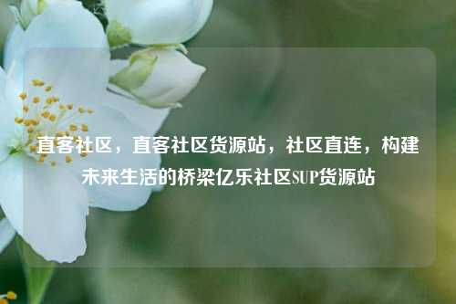 直客社区，直客社区货源站，社区直连，构建未来生活的桥梁亿乐社区SUP货源站  第1张