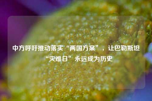 中方呼吁推动落实“两国方案”，让巴勒斯坦“灾难日”永远成为历史  第1张