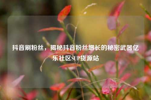 抖音刷粉丝，揭秘抖音粉丝增长的秘密武器亿乐社区SUP货源站  第1张