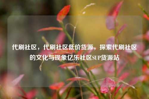 代刷社区，代刷社区低价货源，探索代刷社区的文化与现象亿乐社区SUP货源站  第1张