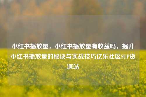 小红书播放量，小红书播放量有收益吗，提升小红书播放量的秘诀与实战技巧亿乐社区SUP货源站  第1张