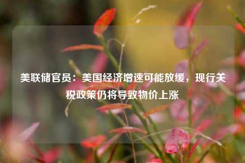 美联储官员：美国经济增速可能放缓，现行关税政策仍将导致物价上涨  第1张