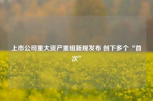 上市公司重大资产重组新规发布 创下多个“首次”  第1张