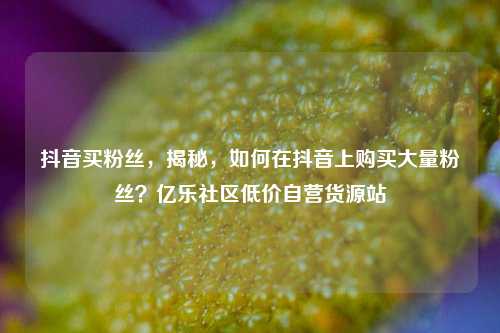 抖音买粉丝	，揭秘，如何在抖音上购买大量粉丝？亿乐社区低价自营货源站  第1张
