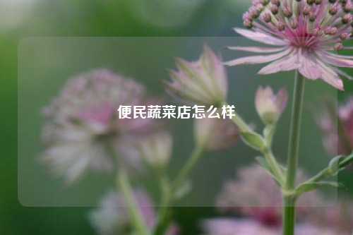 便民蔬菜店怎么样  第1张