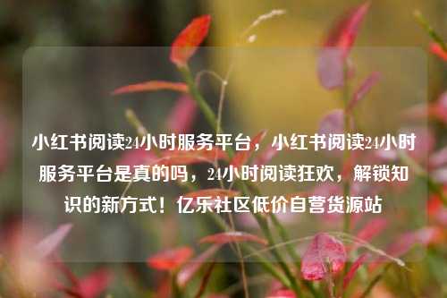 小红书阅读24小时服务平台，小红书阅读24小时服务平台是真的吗	，24小时阅读狂欢，解锁知识的新方式！亿乐社区低价自营货源站  第1张