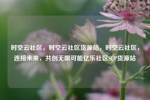 时空云社区，时空云社区货源站	，时空云社区，连接未来，共创无限可能亿乐社区SUP货源站  第1张