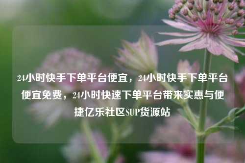 24小时快手下单平台便宜	，24小时快手下单平台便宜免费，24小时快速下单平台带来实惠与便捷亿乐社区SUP货源站  第1张