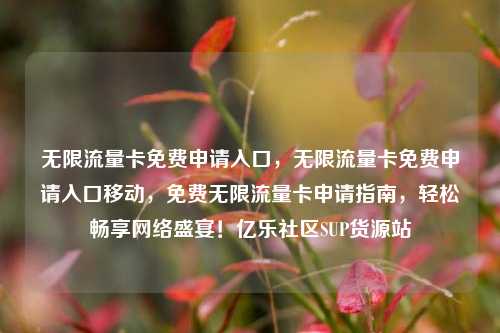 无限流量卡免费申请入口，无限流量卡免费申请入口移动，免费无限流量卡申请指南	，轻松畅享网络盛宴！亿乐社区SUP货源站  第1张