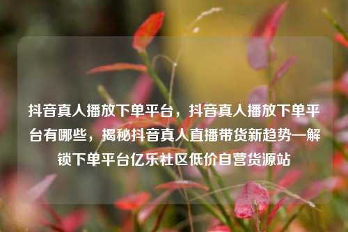 抖音真人播放下单平台	，抖音真人播放下单平台有哪些，揭秘抖音真人直播带货新趋势—解锁下单平台亿乐社区低价自营货源站  第1张