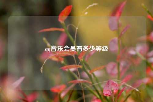 qq音乐会员有多少等级  第1张