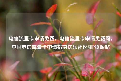 电信流量卡申请免费，电信流量卡申请免费吗	，中国电信流量卡申请指南亿乐社区SUP货源站  第1张