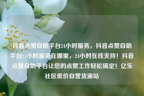 抖音点赞自助平台24小时服务，抖音点赞自助平台24小时服务在哪里	，24小时在线支持！抖音点赞自助平台让您的点赞工作轻松搞定！亿乐社区低价自营货源站  第1张