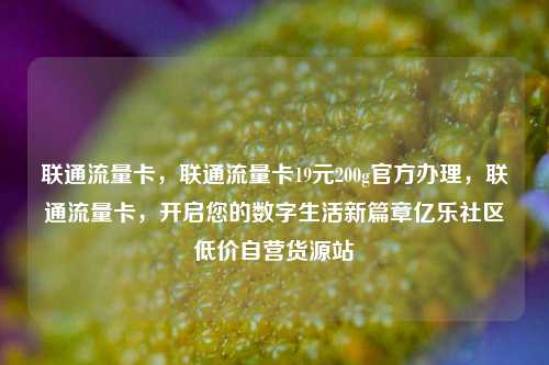 联通流量卡，联通流量卡19元200g官方办理，联通流量卡	，开启您的数字生活新篇章亿乐社区低价自营货源站  第1张