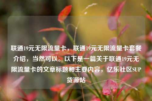 联通19元无限流量卡，联通19元无限流量卡套餐介绍，当然可以。以下是一篇关于联通19元无限流量卡的文章标题和主要内容	，亿乐社区SUP货源站  第1张