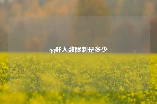 qq群人数限制是多少  第1张