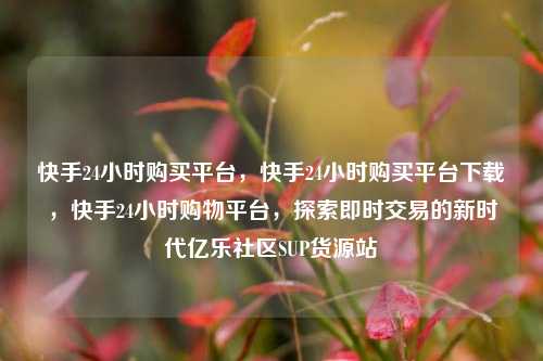 快手24小时购买平台	，快手24小时购买平台下载，快手24小时购物平台，探索即时交易的新时代亿乐社区SUP货源站  第1张