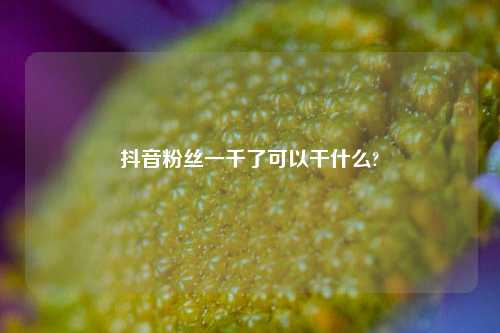 抖音粉丝一千了可以干什么?  第1张