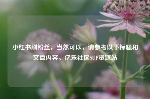 小红书刷粉丝，当然可以，请参考以下标题和文章内容。亿乐社区SUP货源站  第1张