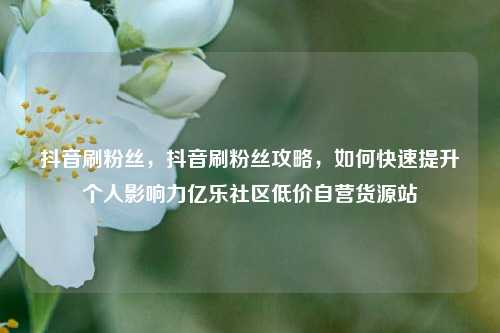 抖音刷粉丝，抖音刷粉丝攻略，如何快速提升个人影响力亿乐社区低价自营货源站  第1张
