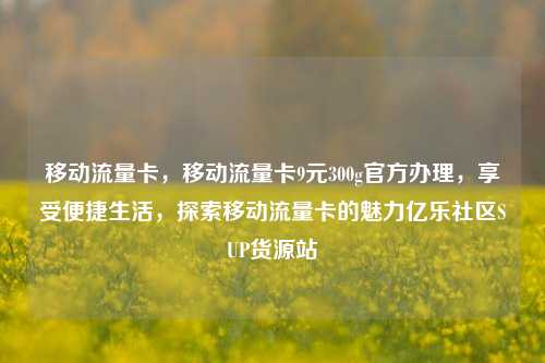 移动流量卡	，移动流量卡9元300g官方办理，享受便捷生活，探索移动流量卡的魅力亿乐社区SUP货源站  第1张