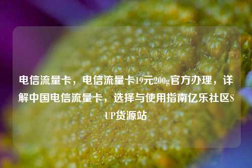 电信流量卡	，电信流量卡19元200g官方办理，详解中国电信流量卡，选择与使用指南亿乐社区SUP货源站  第1张