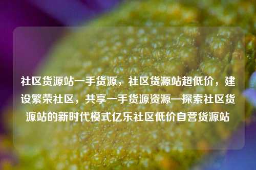 社区货源站一手货源	，社区货源站超低价，建设繁荣社区，共享一手货源资源—探索社区货源站的新时代模式亿乐社区低价自营货源站  第1张