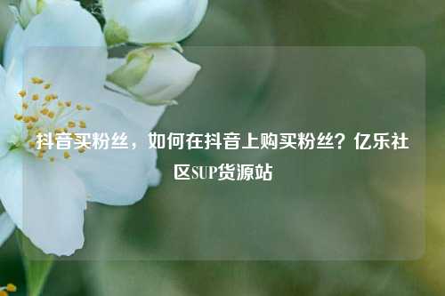 抖音买粉丝，如何在抖音上购买粉丝？亿乐社区SUP货源站  第1张
