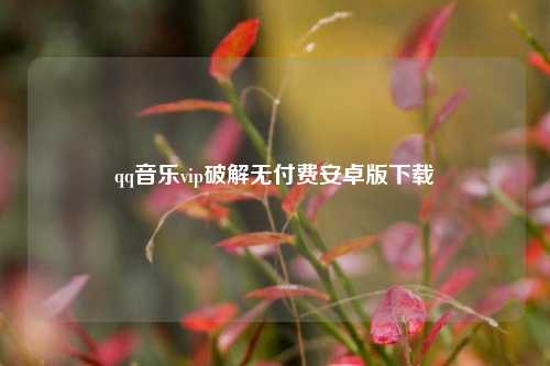 qq音乐vip破解无付费安卓版下载  第1张