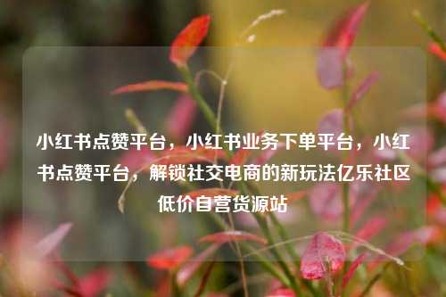 小红书点赞平台	，小红书业务下单平台，小红书点赞平台，解锁社交电商的新玩法亿乐社区低价自营货源站  第1张