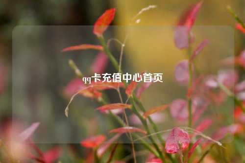 qq卡充值中心首页  第1张