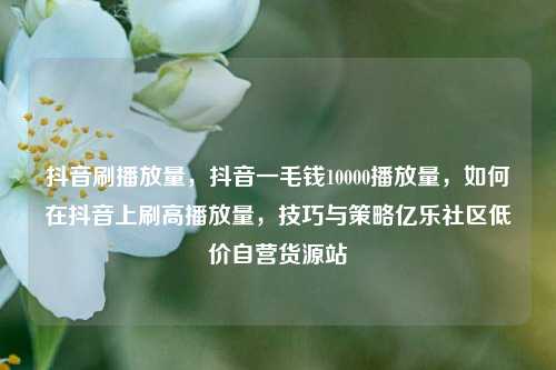抖音刷播放量，抖音一毛钱10000播放量，如何在抖音上刷高播放量，技巧与策略亿乐社区低价自营货源站  第1张