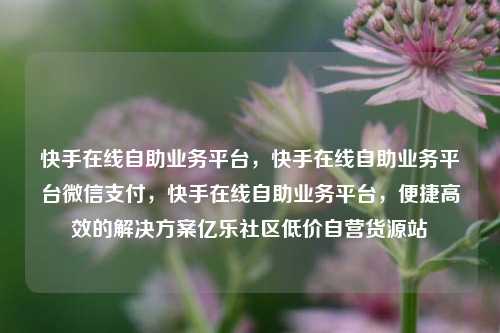快手在线自助业务平台，快手在线自助业务平台微信支付，快手在线自助业务平台	，便捷高效的解决方案亿乐社区低价自营货源站  第1张