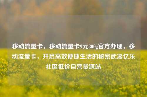 移动流量卡，移动流量卡9元300g官方办理	，移动流量卡，开启高效便捷生活的秘密武器亿乐社区低价自营货源站  第1张