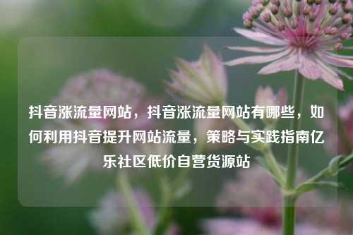 抖音涨流量网站，抖音涨流量网站有哪些	，如何利用抖音提升网站流量，策略与实践指南亿乐社区低价自营货源站  第1张