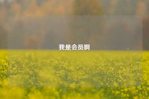 我是会员啊  第1张