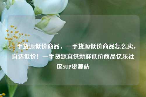 一手货源低价商品，一手货源低价商品怎么卖，直达低价！一手货源直供新鲜低价商品亿乐社区SUP货源站  第1张