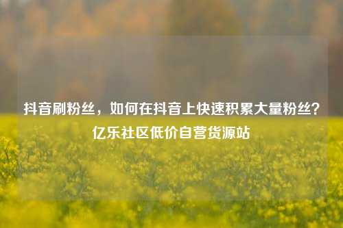 抖音刷粉丝	，如何在抖音上快速积累大量粉丝？亿乐社区低价自营货源站  第1张