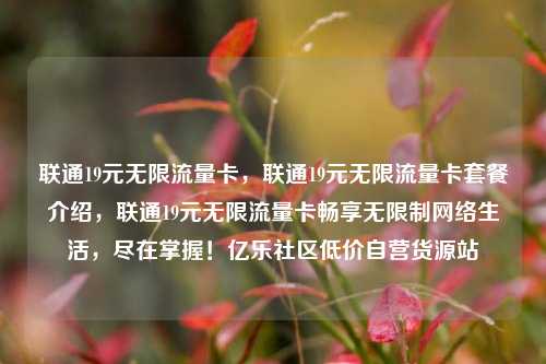 联通19元无限流量卡，联通19元无限流量卡套餐介绍，联通19元无限流量卡畅享无限制网络生活	，尽在掌握！亿乐社区低价自营货源站  第1张