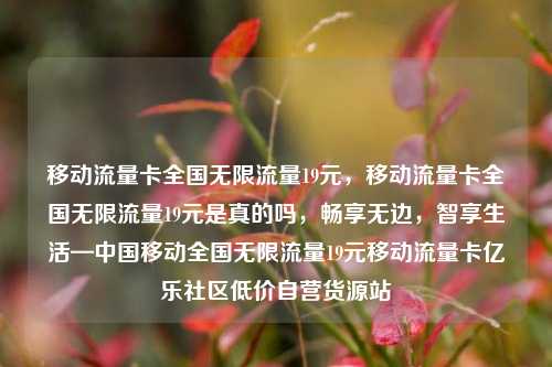 移动流量卡全国无限流量19元，移动流量卡全国无限流量19元是真的吗	，畅享无边，智享生活—中国移动全国无限流量19元移动流量卡亿乐社区低价自营货源站  第1张