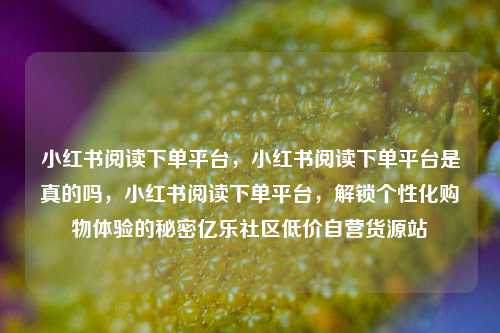 小红书阅读下单平台	，小红书阅读下单平台是真的吗，小红书阅读下单平台，解锁个性化购物体验的秘密亿乐社区低价自营货源站  第1张