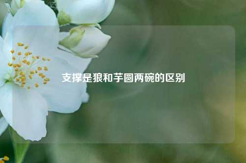 支撑是狼和芋圆两碗的区别  第1张