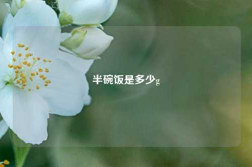 半碗饭是多少g  第1张