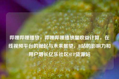 哔哩哔哩播放，哔哩哔哩播放量收益计算，在线视频平台的崛起与未来展望，B站的影响力和用户增长亿乐社区SUP货源站  第1张